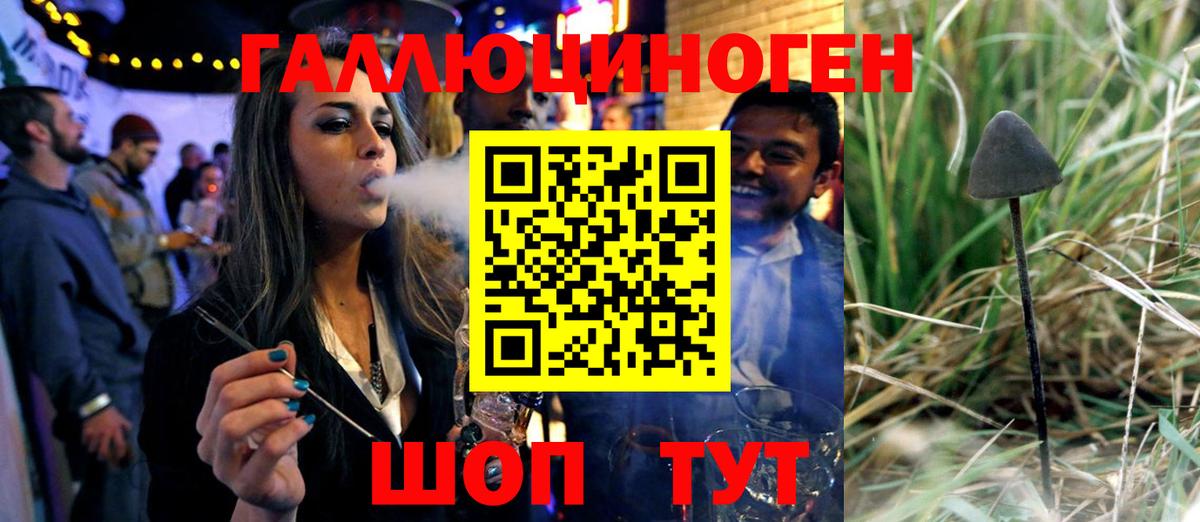 Псилоцибиновые грибы ЛСД Электрогорск