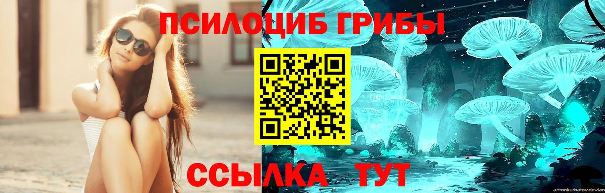 Электрогорск  Псилоцибиновые грибы мицелий  Псилоцибиновые грибы прущие грибы  где продают   Вход с VPN 