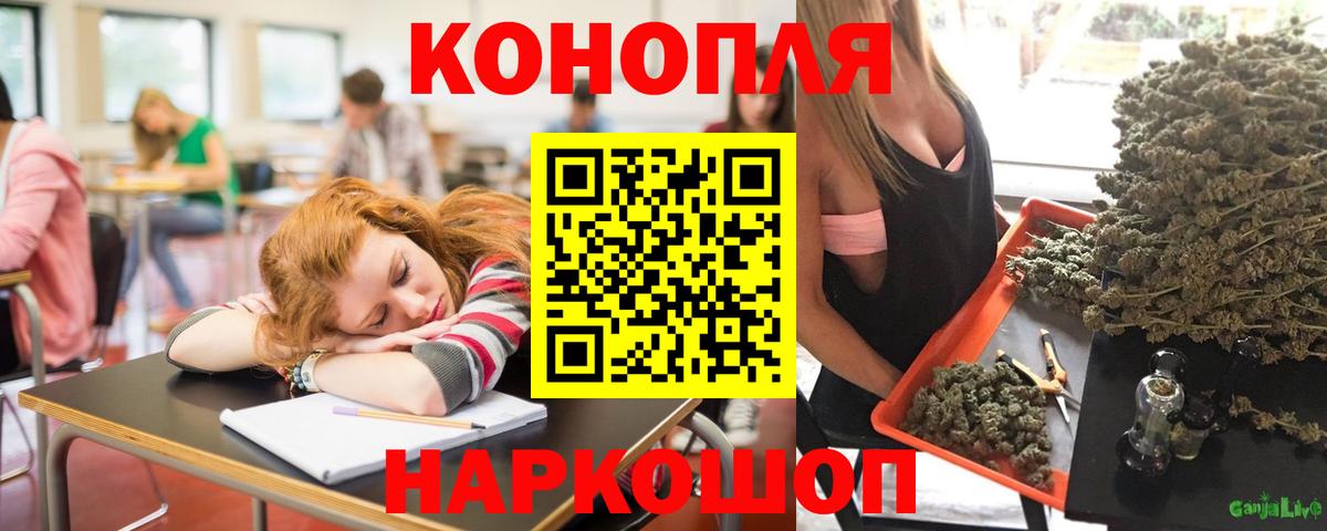 Бошки Шишки тримм Электрогорск